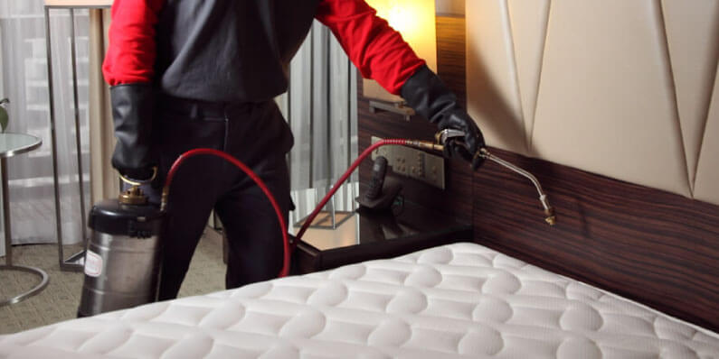 bed bug exterminator in washington dc spraying behind mattress for bed bugs